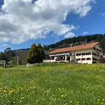 Hotell Alte Post *