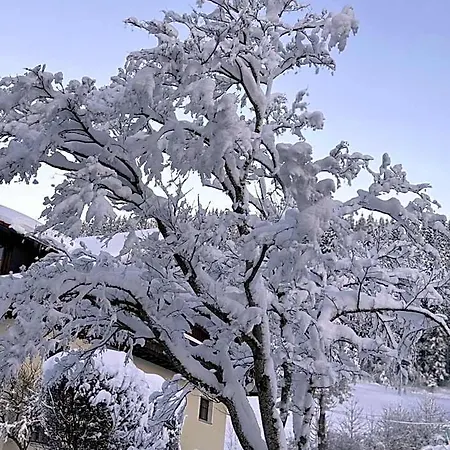 Alte Post * Oberstaufen